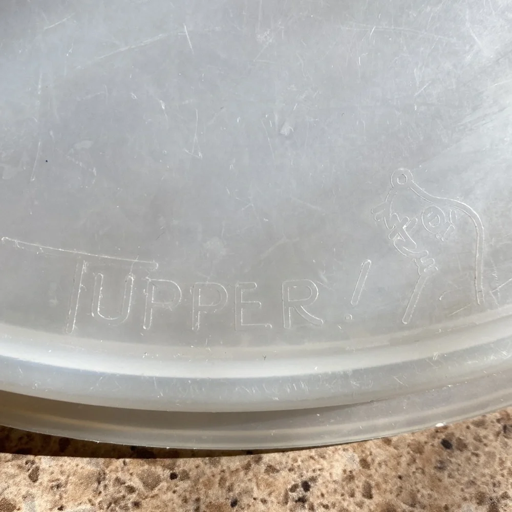 VTG Tupperware Party Susan Tray with Lid